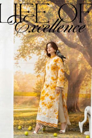 Digital Printed Embroidery 3P Suit